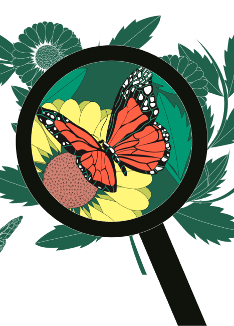 KINGKONG金刚刮刮乐